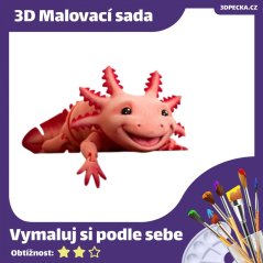 3D Malovací sada | Axolotl