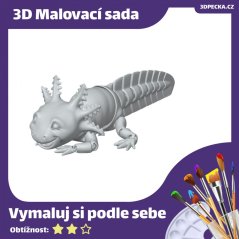 3D Malovací sada | Axolotl